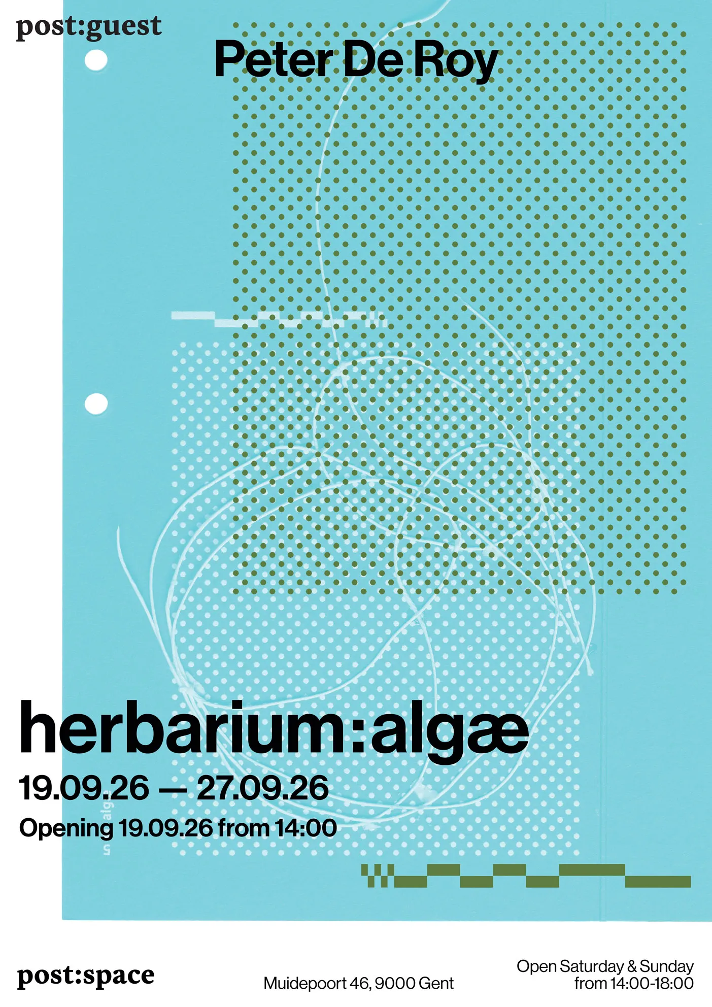 herbarium:algæ — invitation front