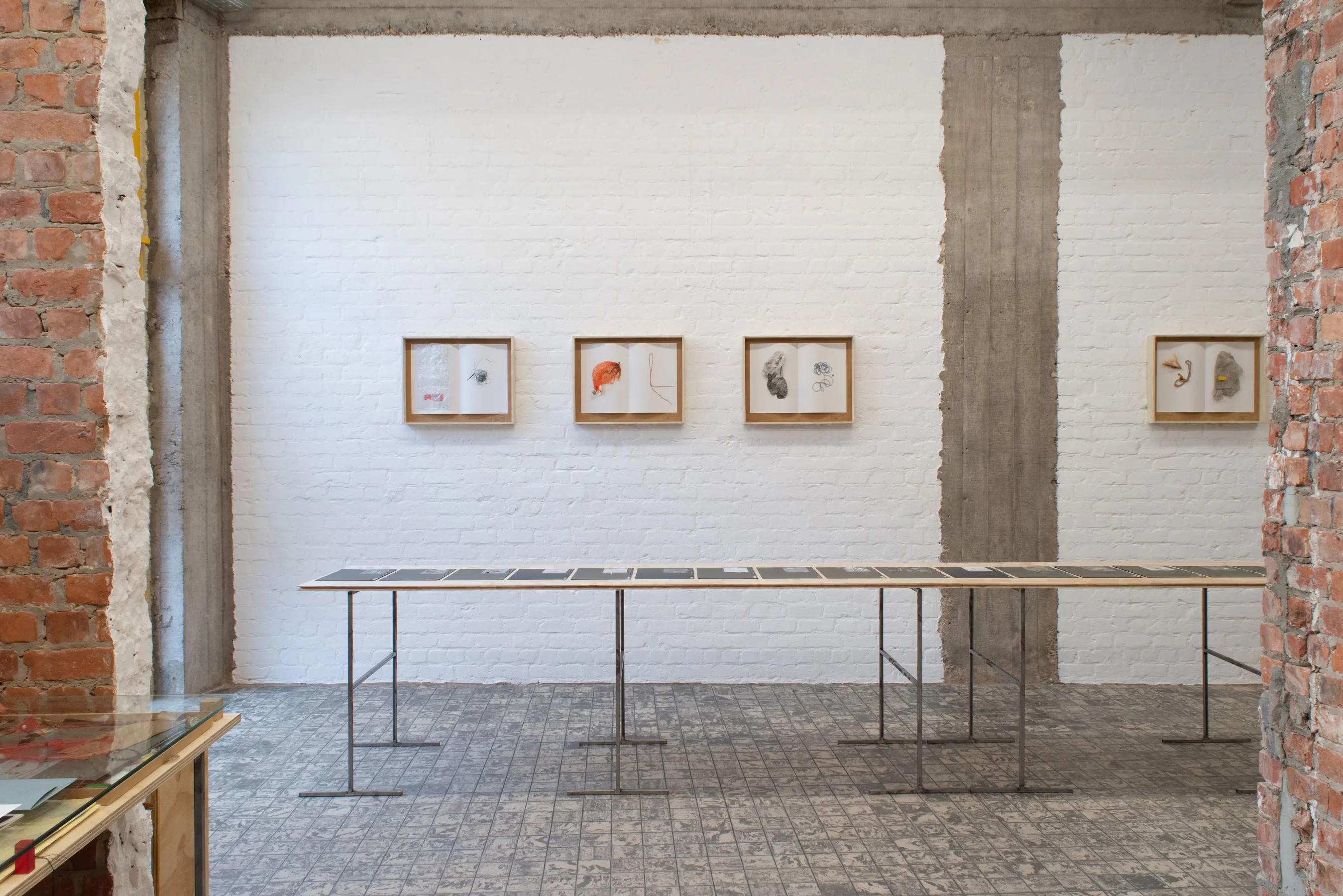 herbarium:algæ — installation view 1