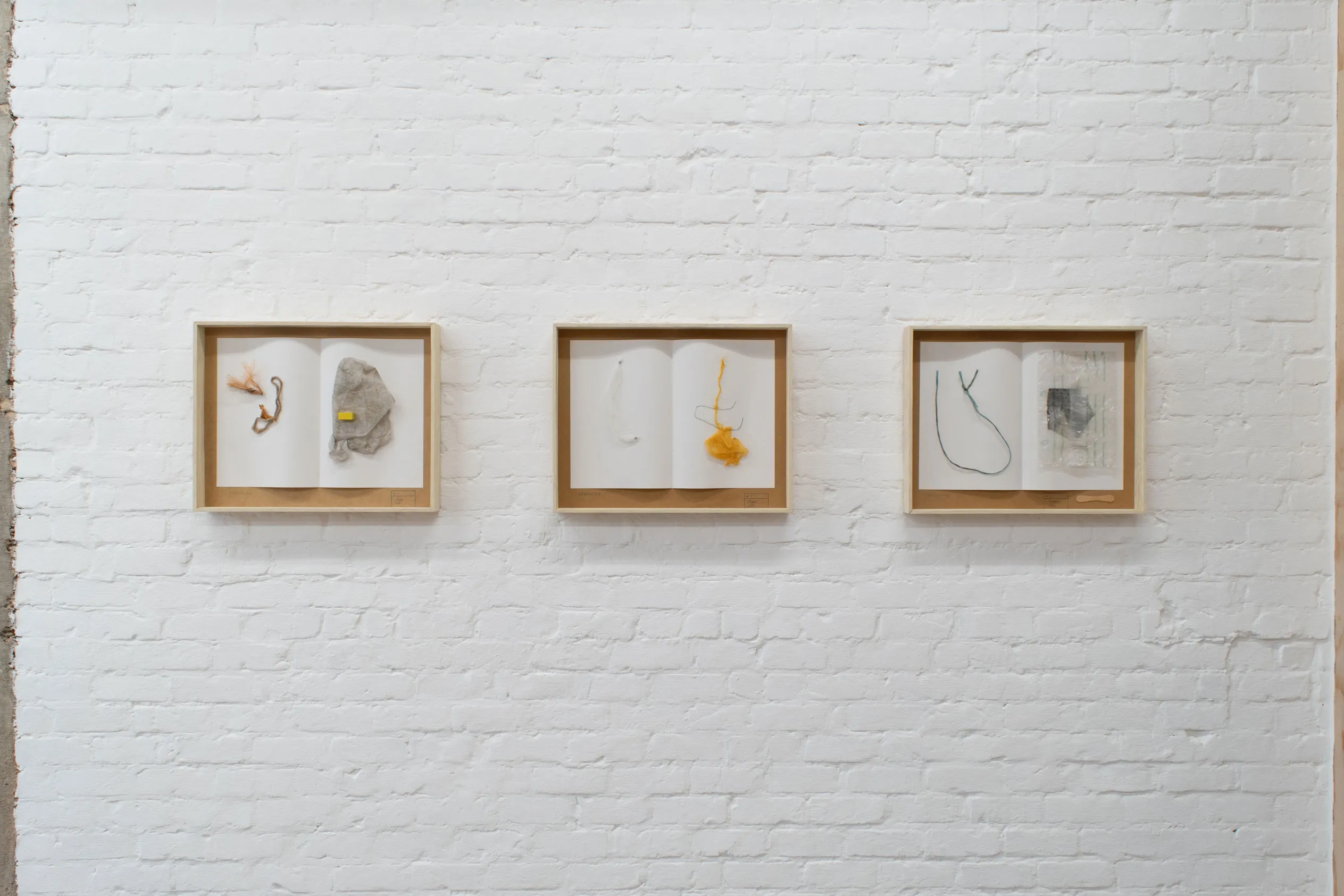 herbarium:algæ — installation view 4
