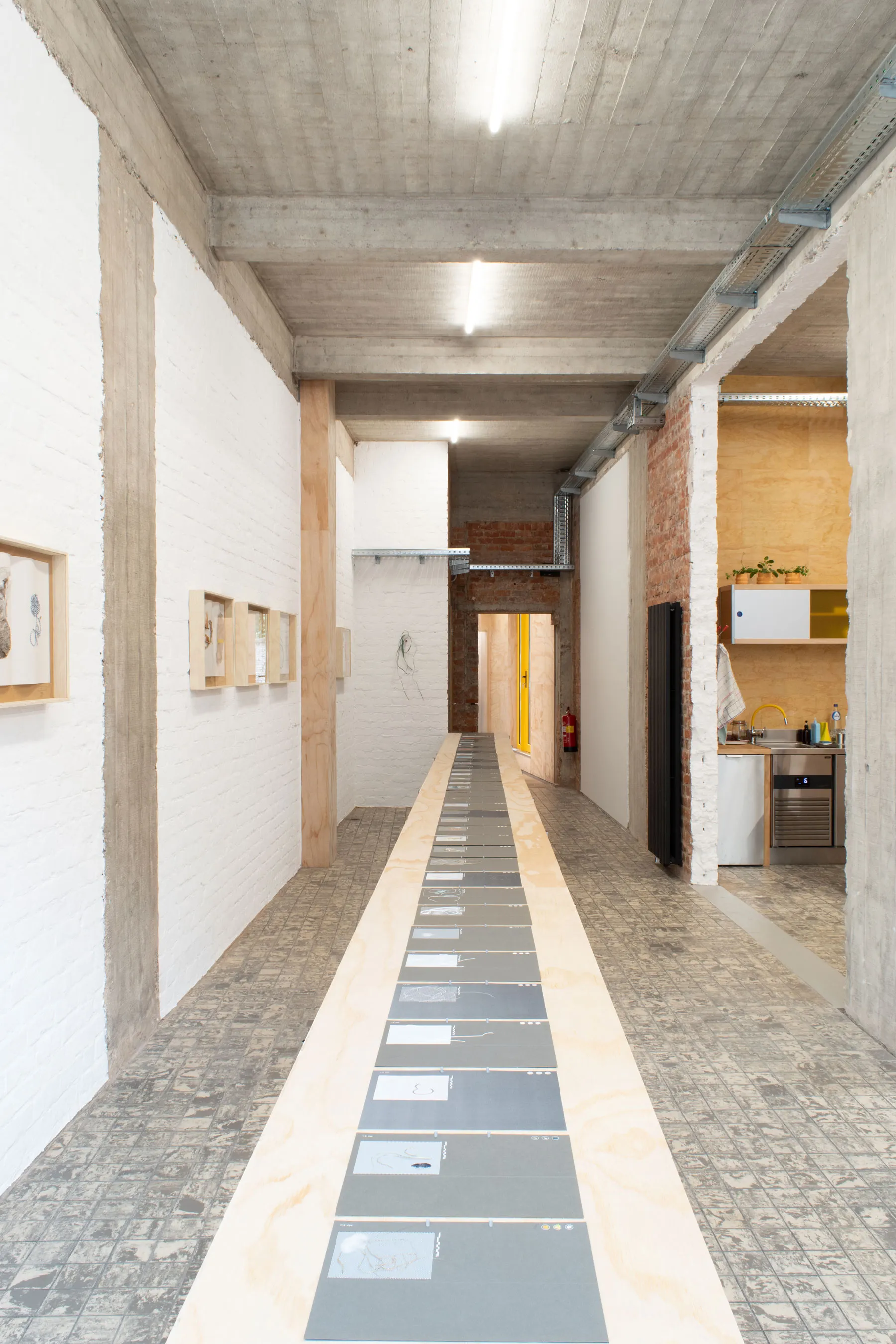 herbarium:algæ — installation view 14