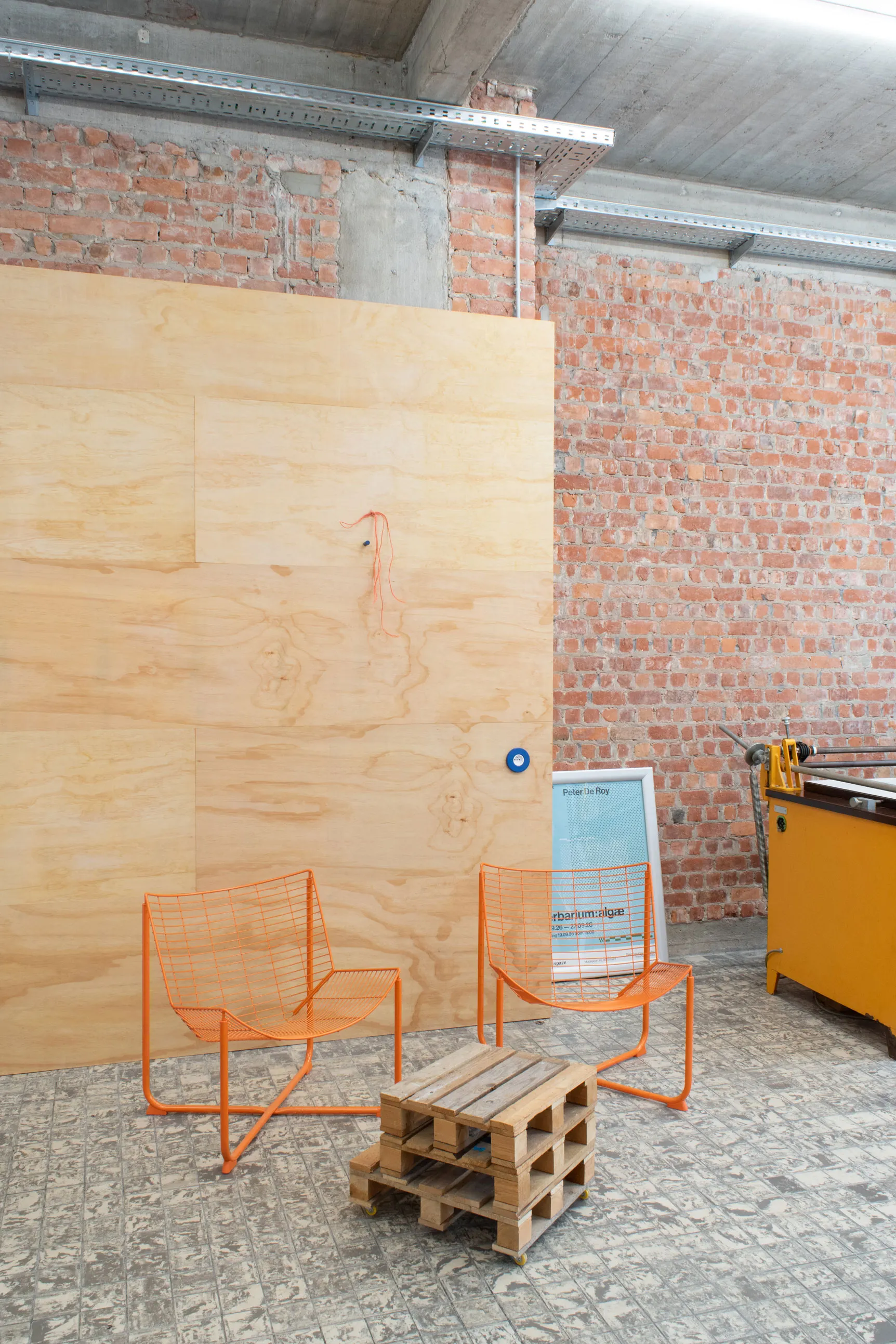 herbarium:algæ — installation view 15